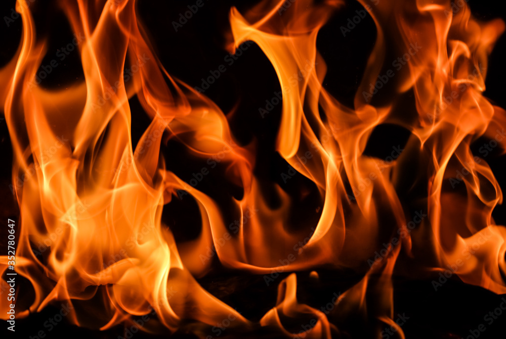 Flames of fire on a black background. The mystery of fire. Flames of fire on a black background. The mystery of fire.