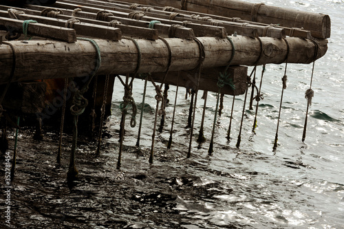 Batea Mejillones Galicia