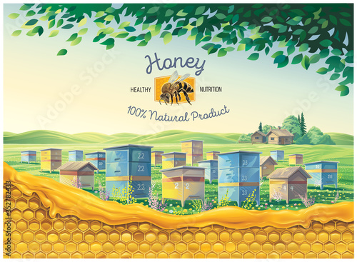 Bee apiary in the rural landscape with honeycomb in the foreground and a symbolic illustration of a bee as a design element