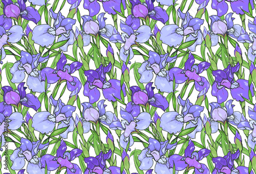 Iris flowers, purple and blue irises, seamless vector illustration © Miny