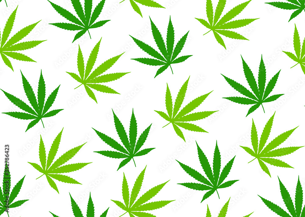 Fototapeta premium Canabis leaf pattern on a white background