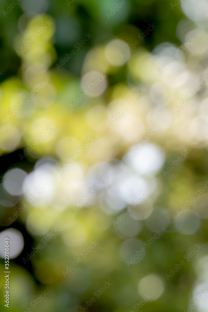 Beautiful abstract background photo of light burst and glitter bokeh lights. image is blurred and filtered. Beautiful abstract background photo of light burst and glitter bokeh lights. image is blurred and filtered.