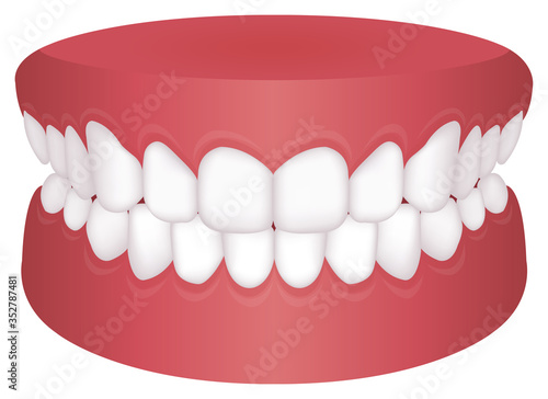 Teeth trouble ( bite type ) vector illustration /Normal Bite