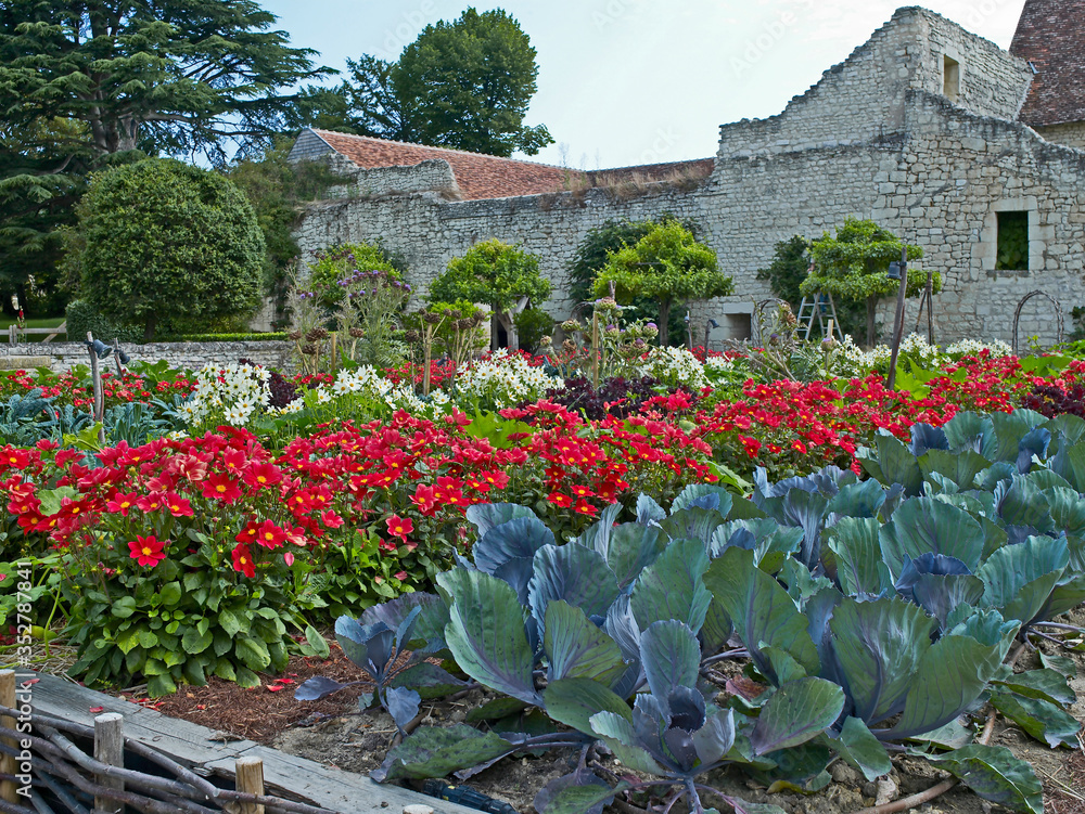 Φωτογραφία The colourful flower and vegetable potanger in a country garden with Dahlia ‘Mas