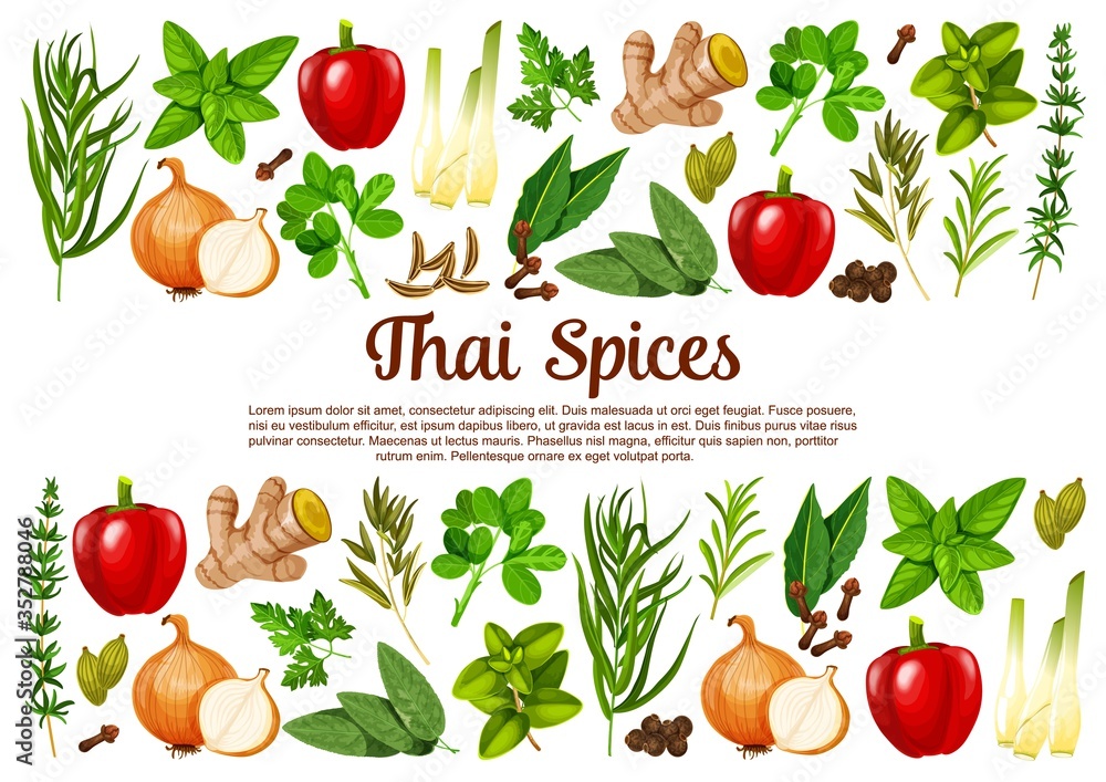 Set of spices and herbs for cooking Royalty Free Vector