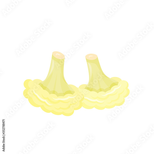 Cauliflower cartoon vector illustration. Ripe fresh vegetable flat color object. Healthy foodstuffs product. Vegetarian source of vitamins, potassium, fiber isolated on white background
