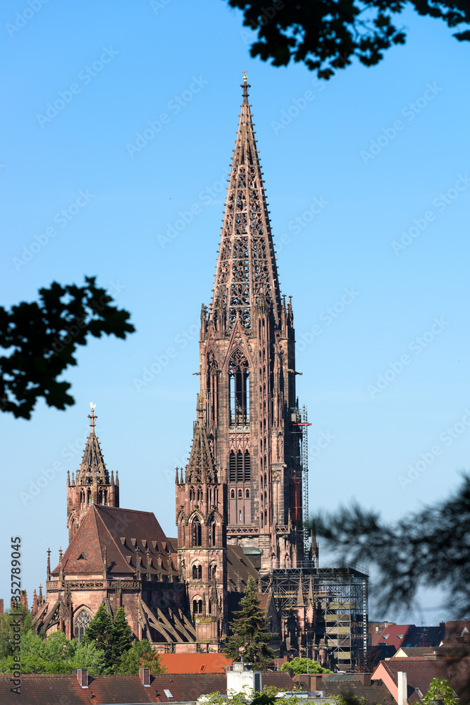 Freiburger Münster Freiburger Münster