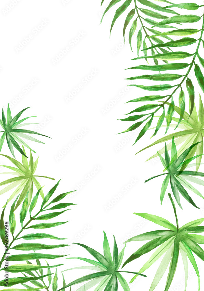 Watercolors, a leaf of a palm tree, a fern, a branch, wild grasses. green on white watercolor hand drawn illustration. Splash of paint. blue tropical palm leaf. watercolor card, postcard, invitation