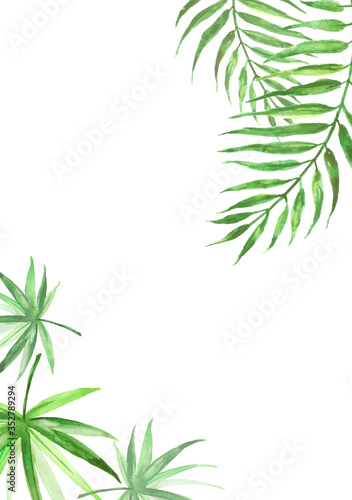 Watercolors, a leaf of a palm tree, a fern, a branch, wild grasses. green on white watercolor hand drawn illustration. Splash of paint. blue tropical palm leaf. watercolor card, postcard, invitation © helgafo