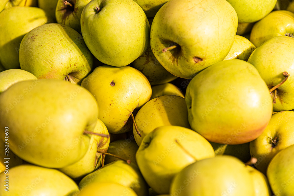 Many yellow apples on a store counter.