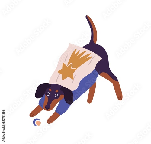 Cute dog wearing superhero costume playing with ball vector flat illustration. Adorable domestic animal having fun isolated on white background. Joyful pet dressed in colorful apparel