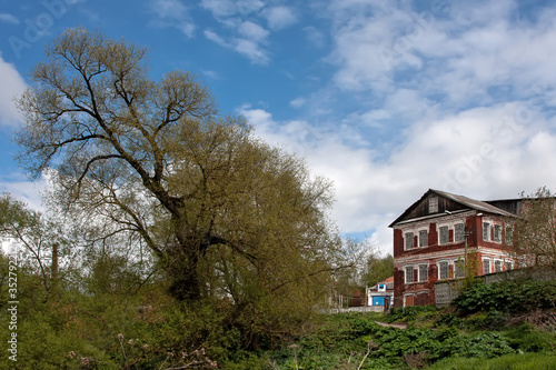 Beautiful tall tree and old rural building under the sky