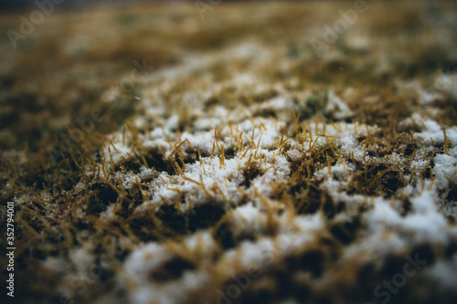 Snow on The Ground during Winter