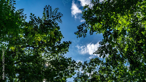 Cielo e nuvole sopra la natura in primavera