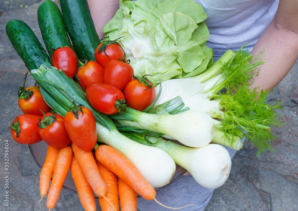 Healthy nutrition with fresh raw vegetables: a woman's holds a group of salad ingredients just picked up, lettuce, tomatoes, cucumbers, fennel, spring onions, and carrots Healthy nutrition with fresh raw vegetables: a woman's holds a group of salad ingredients just picked up, lettuce, tomatoes, cucumbers, fennel, spring onions, and carrots