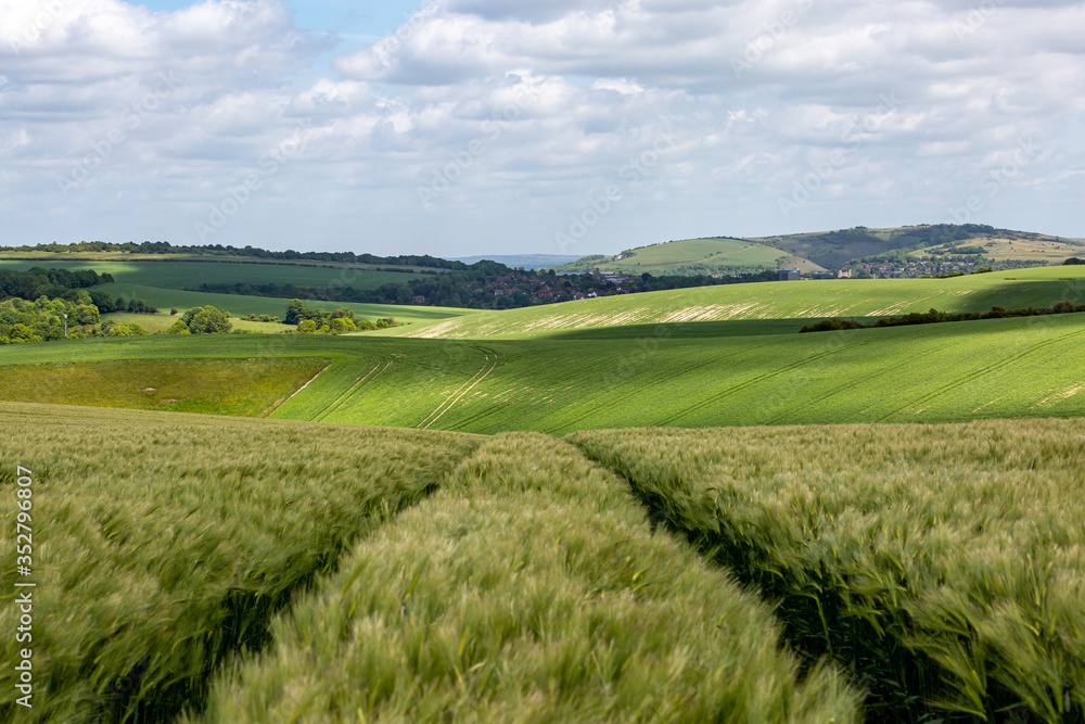 A rural South Downs landscape on a sunny late spring day