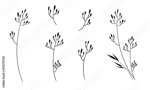 Fototapeta Naklejka Na Ścianę i Meble -  Hand drawn vector flowers branches and leaves. Botanical sketch collection. Decorative elements for design. Ink, vintage, rustic.