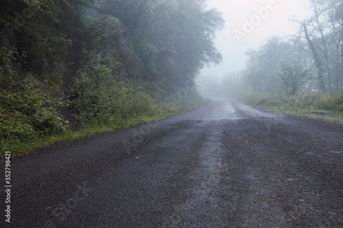 A mountain road crosses the forest and goes towards the mist