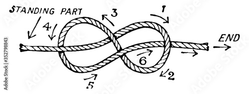 Knots/Figure Eight Knot, vintage illustration