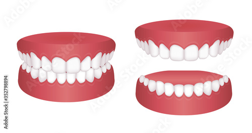 Normal teeth Vector illustration set