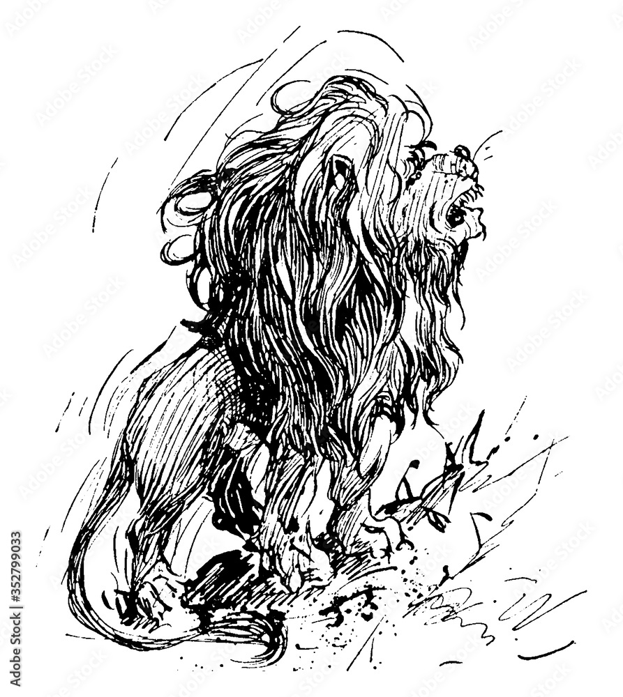 Naklejka Lion, vintage illustration.