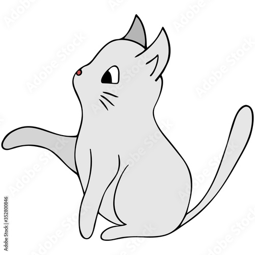 Kitten. White color. Colored vector illustration. Isolated background. Cartoon style. Lovely pet. A purring creature with a mustache. Fluffy animal. The tail is up. Hand drawing. Idea for web design.