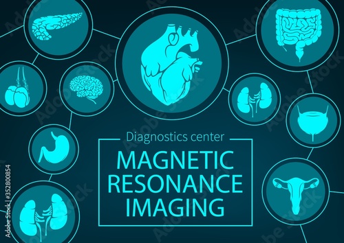 MRI of organs and joints medicine. Vector magnetic resonance imaging medical diagnostics. Healthcare clinic x-ray radiology, MRI analysis, diagnostics of digestive, respiratory and urogenital system