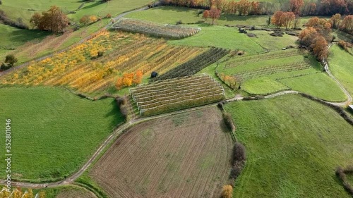 Allassac (Corrèze, France) - Les Trois Villages - Gauch - Vue aérienne automnale des champs de pommiers photo