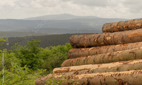 Obraz na plátne View to the hill Brocken in Harz, Germany with stacked tree trunks in foreground
