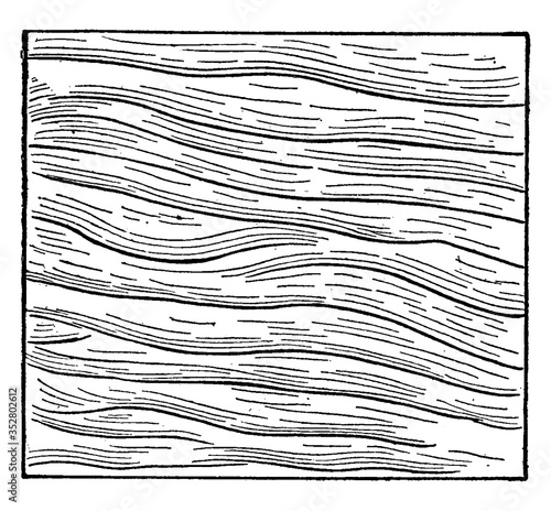 Ripple Mark On Sand, vintage illustration.