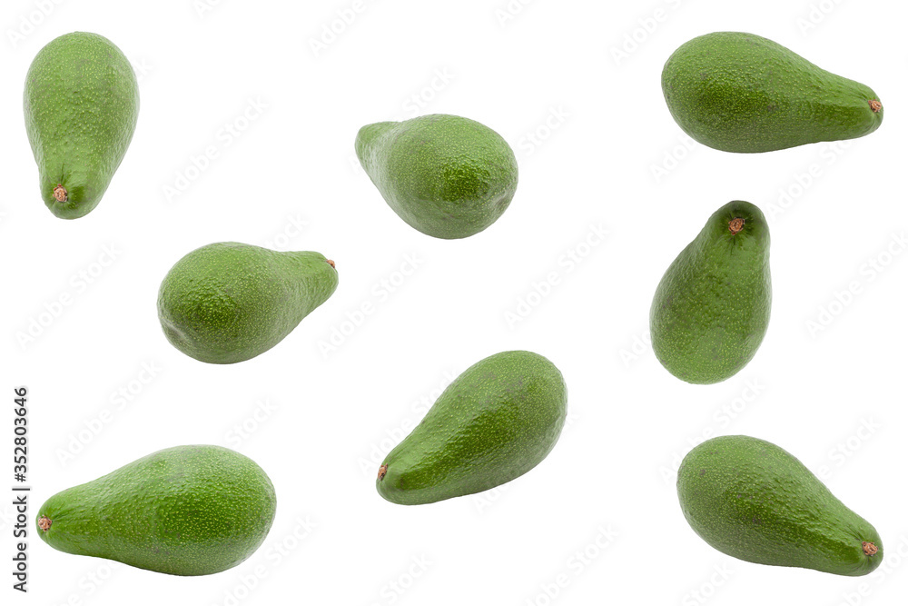 The fruit of a green whole avocado in different angles on a white background. The fruit of a green whole avocado in different angles on a white background.