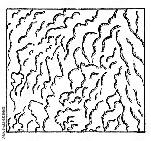 Ripple Mark On Sand, vintage illustration.
