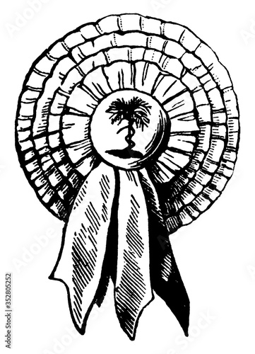 Palmetto Cockade, vintage illustration.