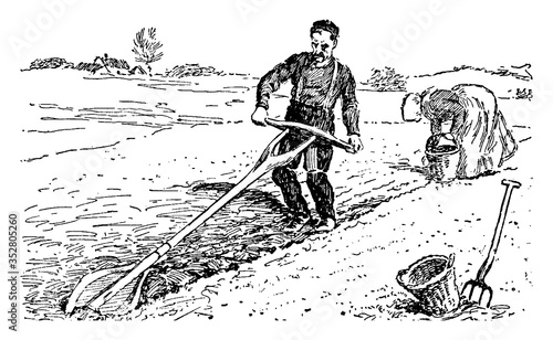 Breast Plow, vintage illustration.
