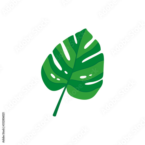 colorful hand drawn monstera leaf in cartoon style isolated on white