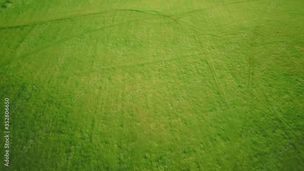 Aerial video flying over green grass field during sunset in spring time Aerial video flying over green grass field during sunset in spring time