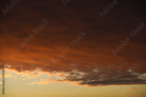 Sky background.Bloody Cumulus clouds illuminated by sunlight on the border of a clear light sky.Stormy landscape at dawn.Russia