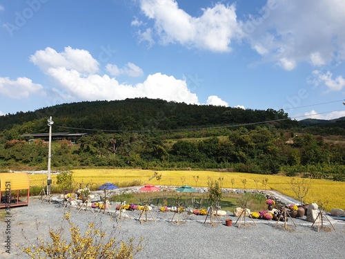 수확
