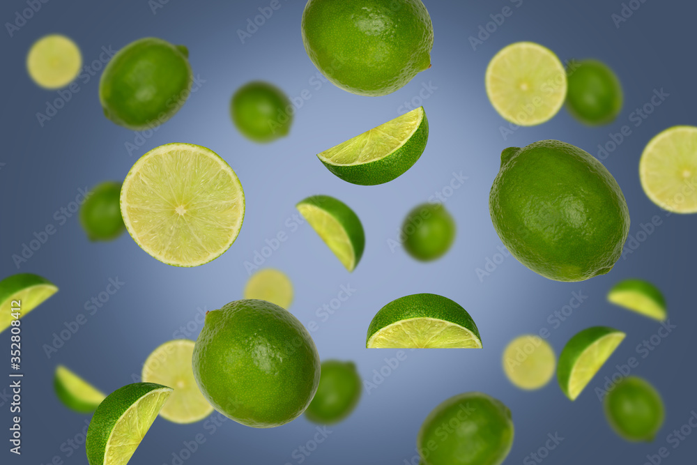 Falling limes isolated on a dark background with clipping path as package design element. Flying fruits.
