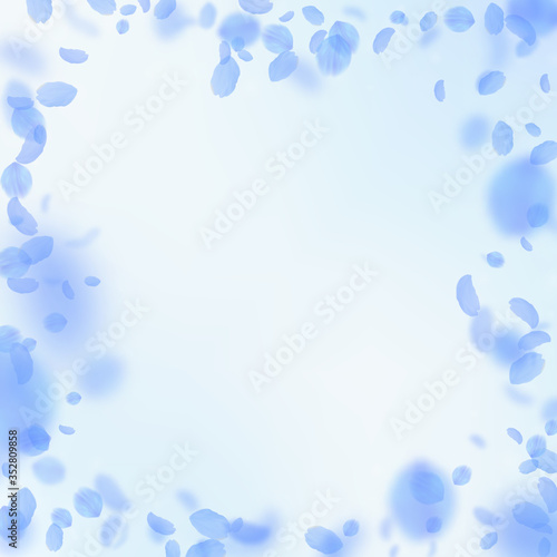 Dark blue flower petals falling down. Fetching rom