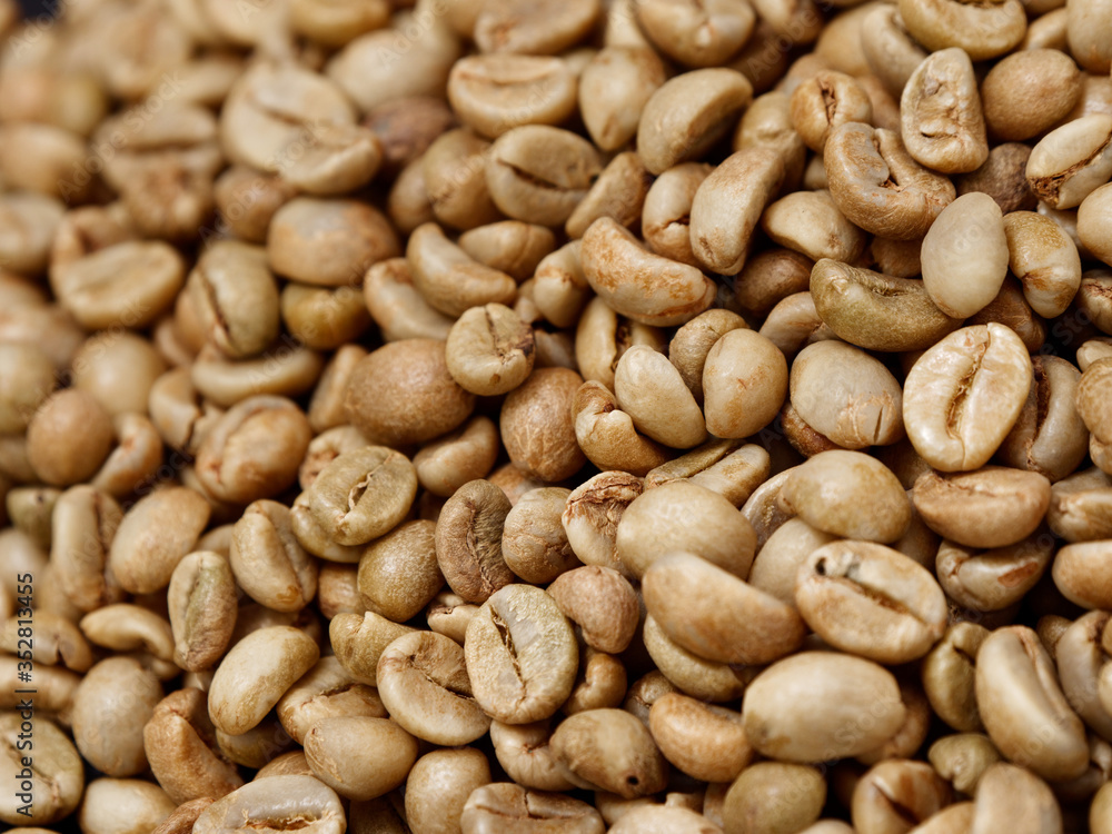raw not roasted coffee beans from africa on a dark background raw not roasted coffee beans from africa on a dark background