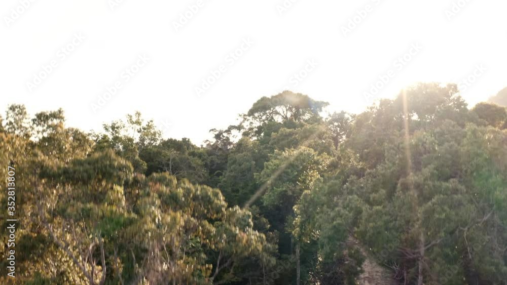 Aerial View Of Tropical Jungle At Sunrise, Tropical Beach In Background Aerial View Of Tropical Jungle At Sunrise, Tropical Beach In Background