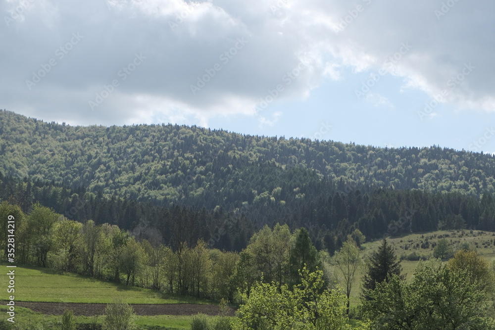 Spring forest mountains and sky with clouds. Copy space