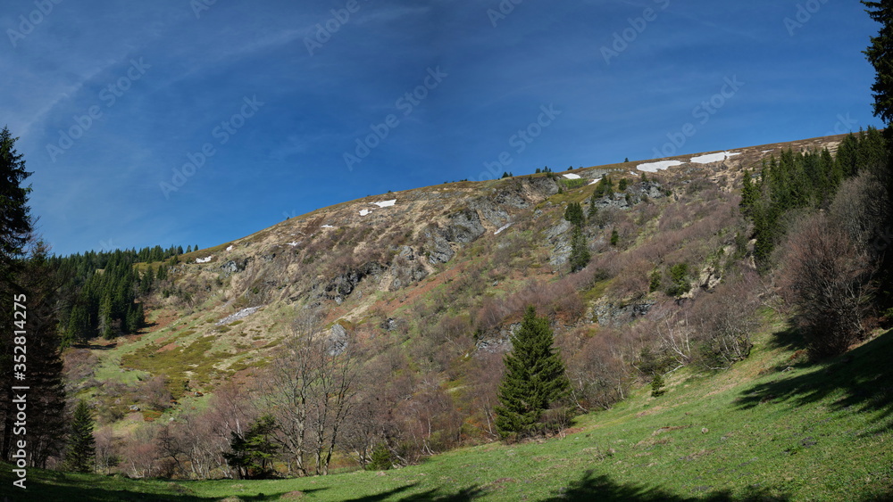 Fototapeta premium View of Velky Kotel valley in summer Jeseniky mountains, Czech Republic. Hillside with prominent rock formations.