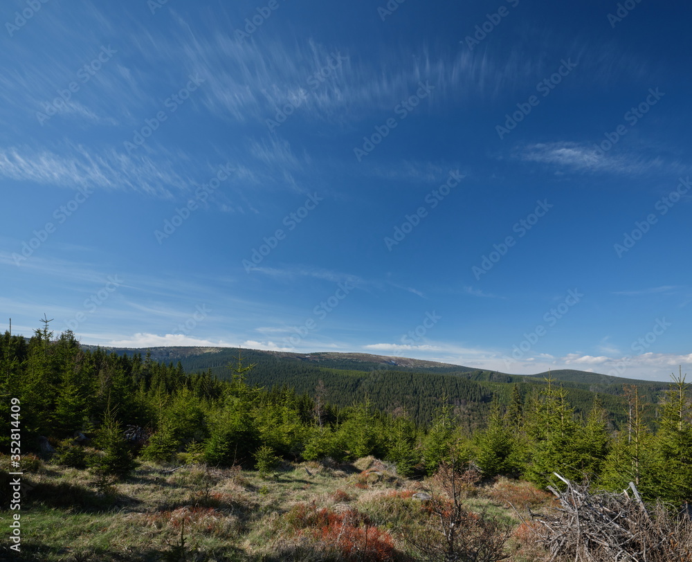 Forested mountainous landscape with clouds on blue sky, Jeseniky mountains, Czech Republic