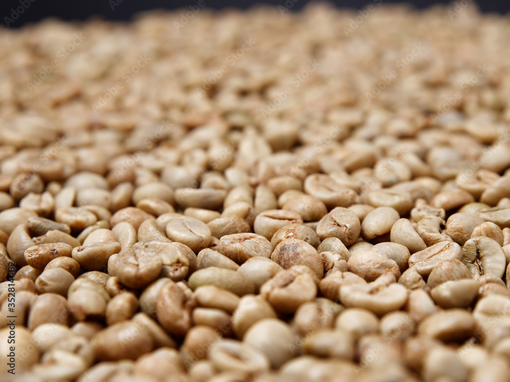raw not roasted coffee beans from africa on a dark background raw not roasted coffee beans from africa on a dark background
