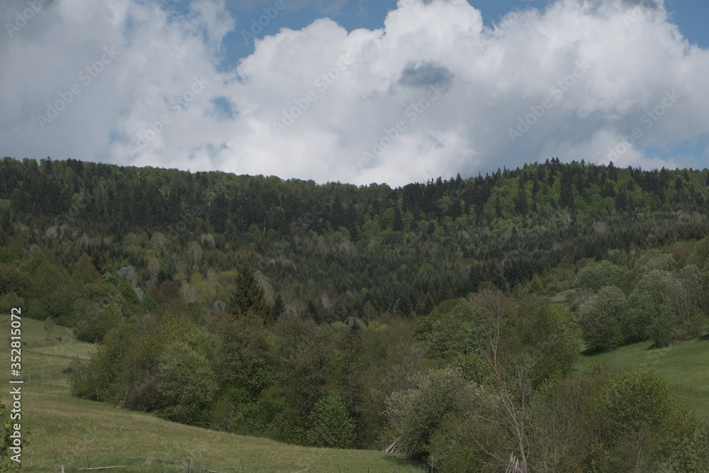 Spring forest mountains and sky with clouds. Copy space
