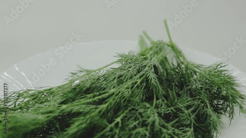 Rotation of a bunch of fresh green dill on a white plate