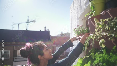 Placing pot in garden with sun in background