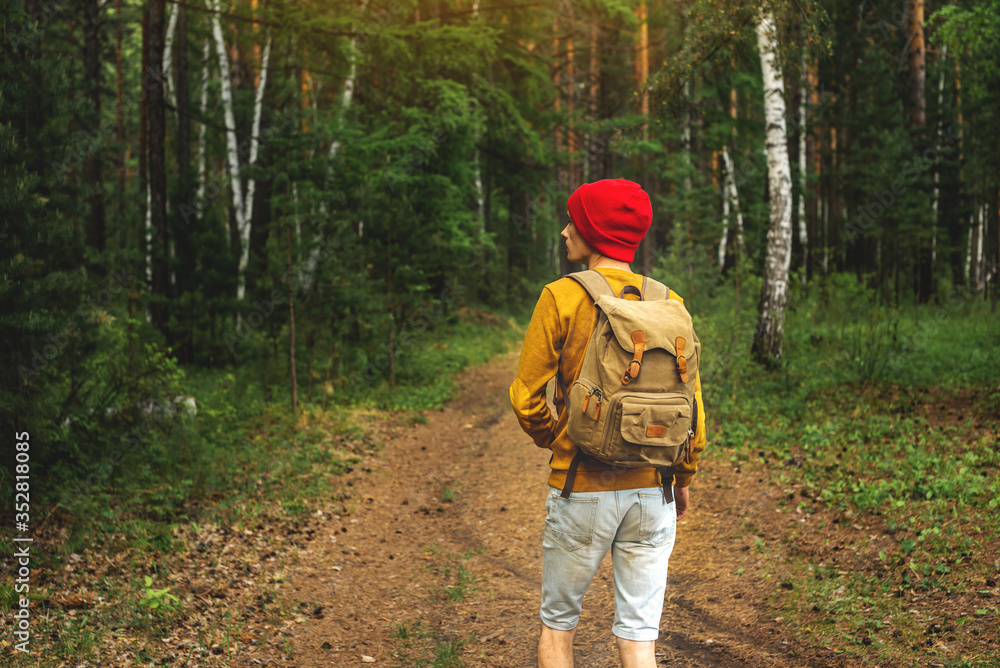 Tourist with a backpack is walking in the dark forest among the trees. Active trekking and unity with nature Tourist with a backpack is walking in the dark forest among the trees. Active trekking and unity with nature